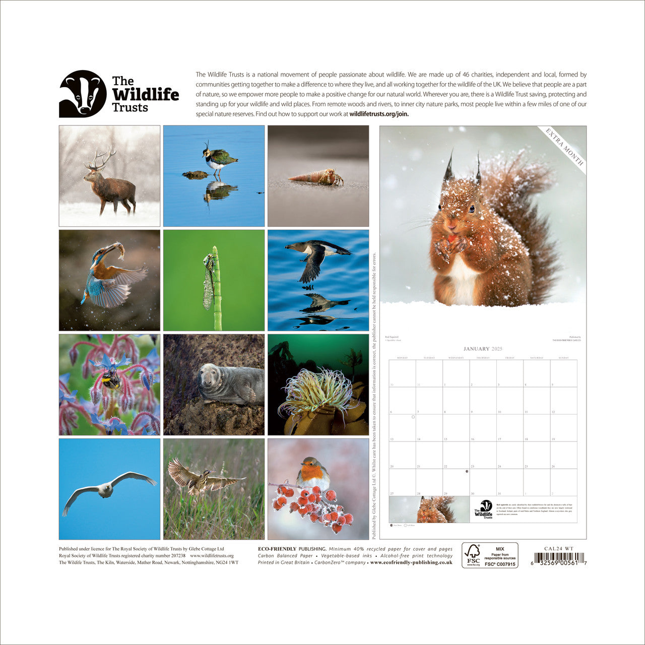 The Wildlife Trusts 2024 calendar