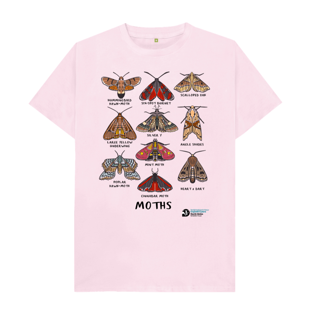 Pink Moths T-shirt (Women)