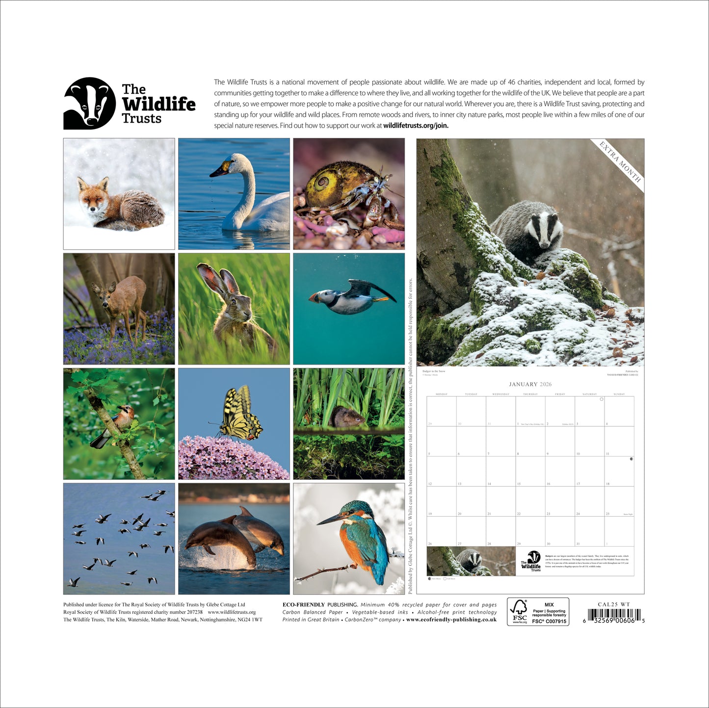 The Wildlife Trusts 2025 calendar