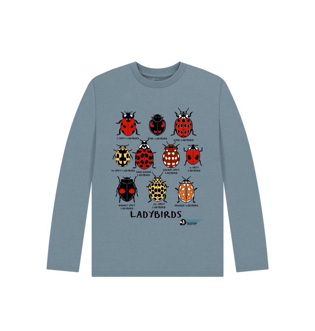 Stone Blue Ladybirds long-sleeved top (Kids)