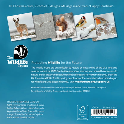 The Wildlife Trust Christmas cards; 120mm (2025 stock)