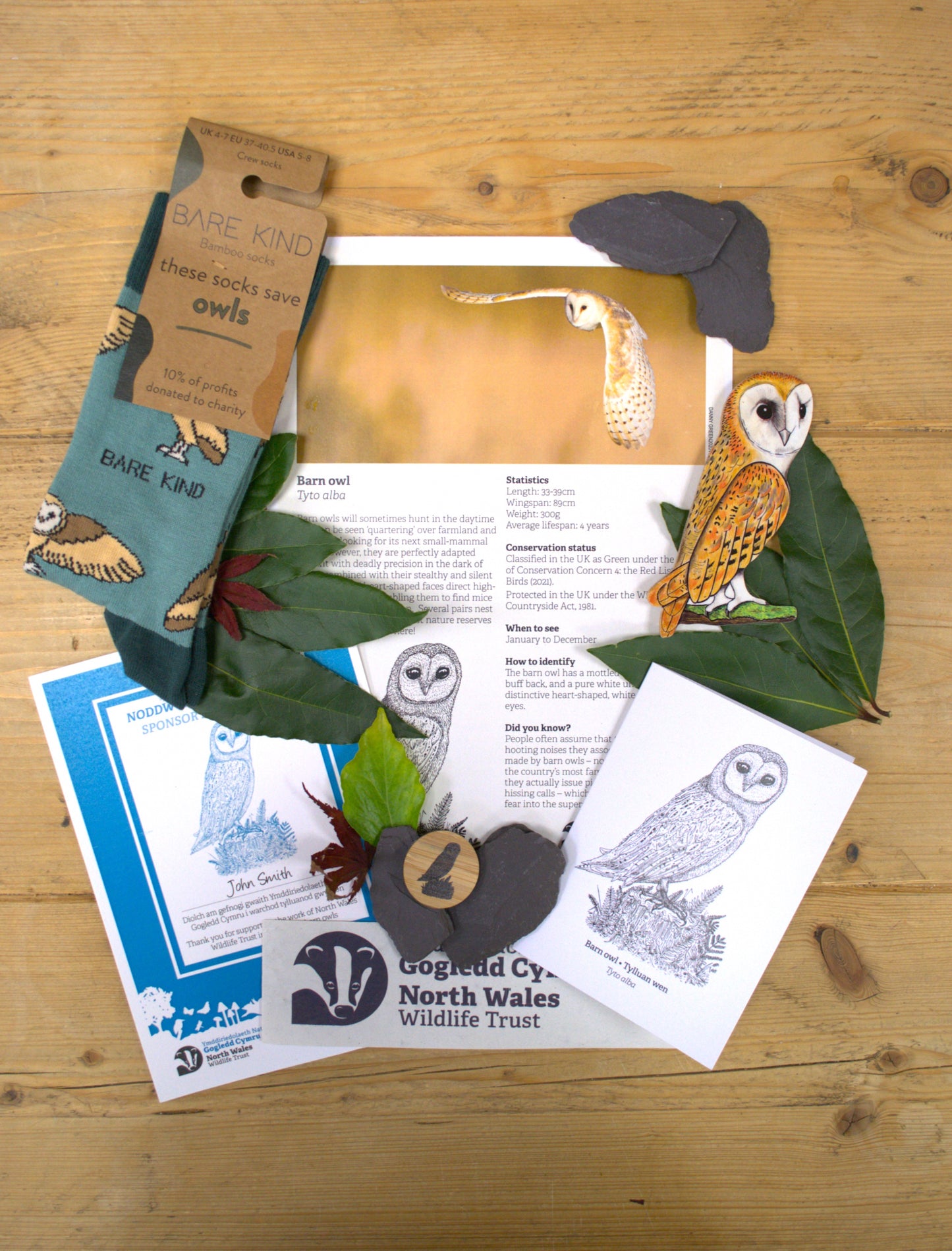 Sponsor a barn owl