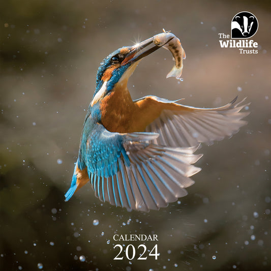 The Wildlife Trusts 2024 calendar