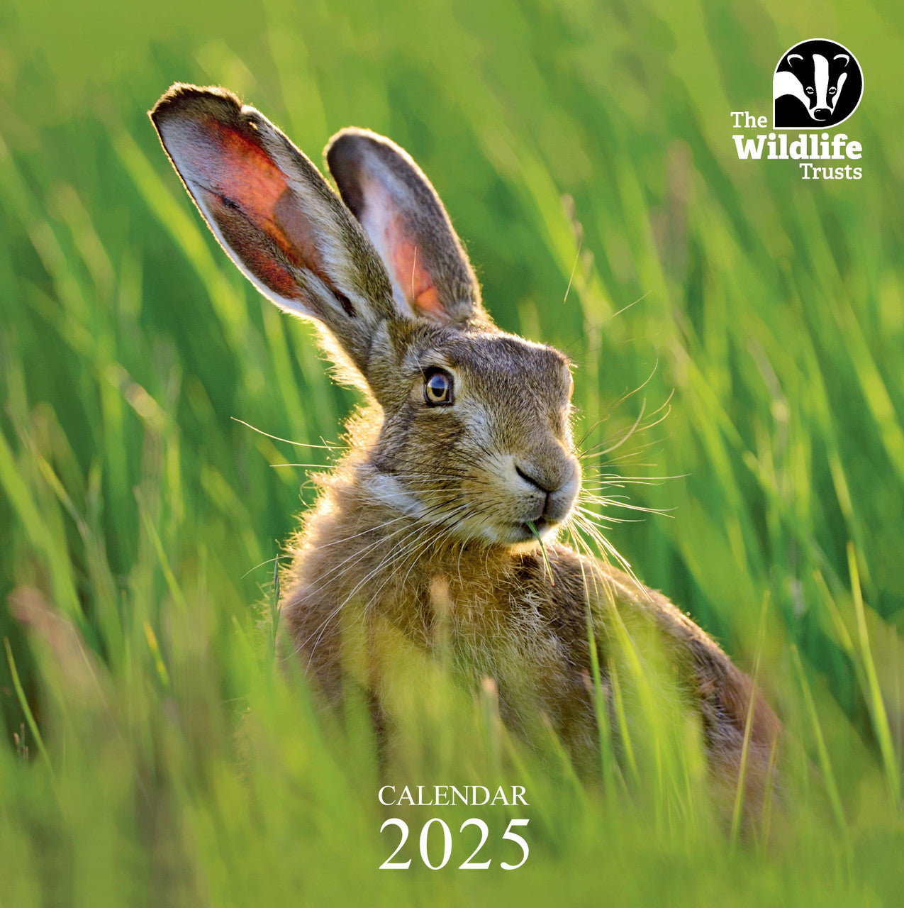 The Wildlife Trusts 2025 calendar