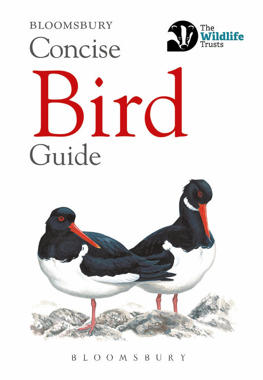 Bloomsbury concise field guide - Bird