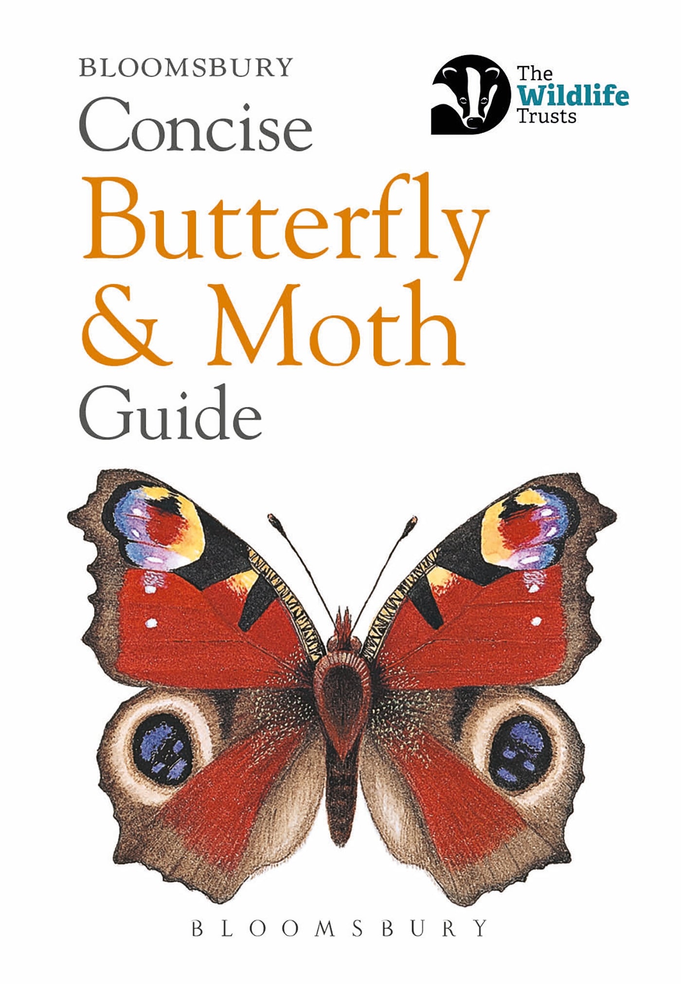 Bloomsbury concise guide - butterfly & moth