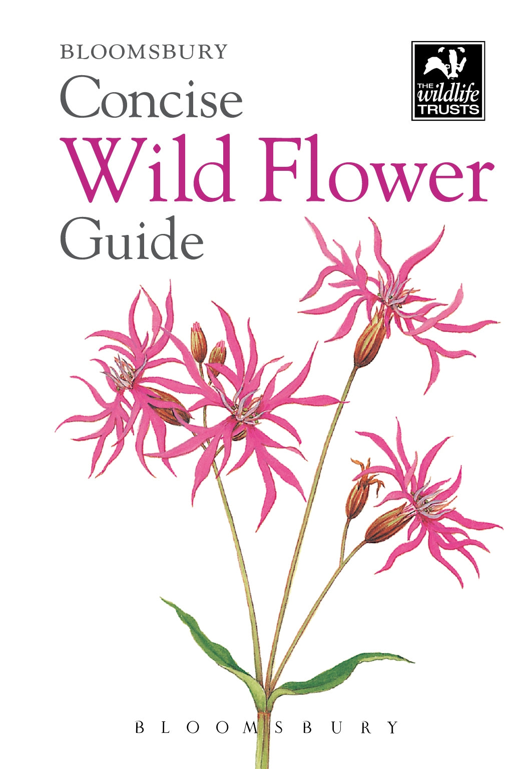 Bloomsbury concise guide -  wild flower