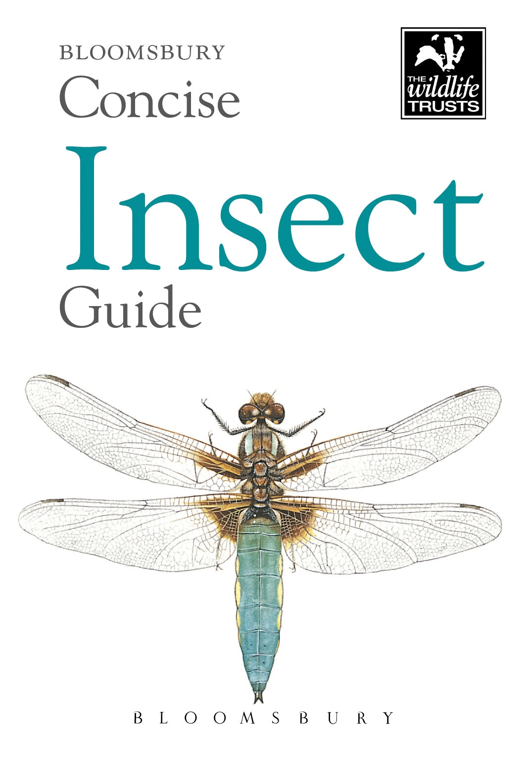 Bloomsbury concise guide - insect
