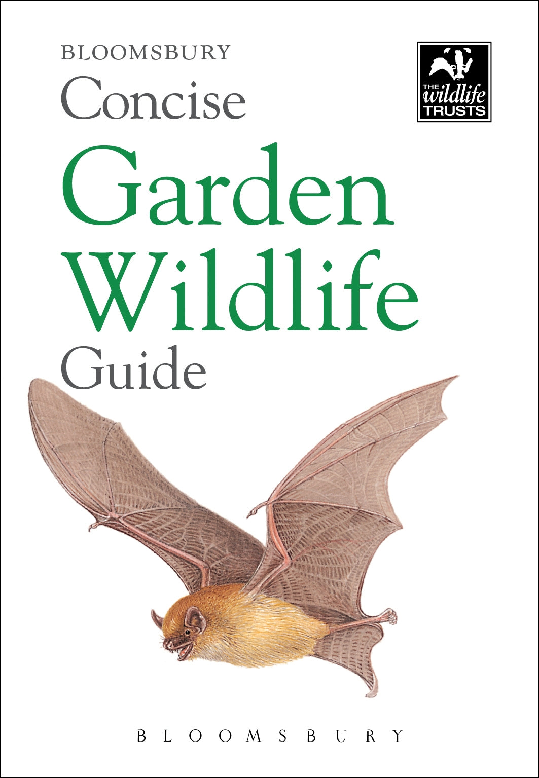 Bloomsbury concise guide - garden wildlife