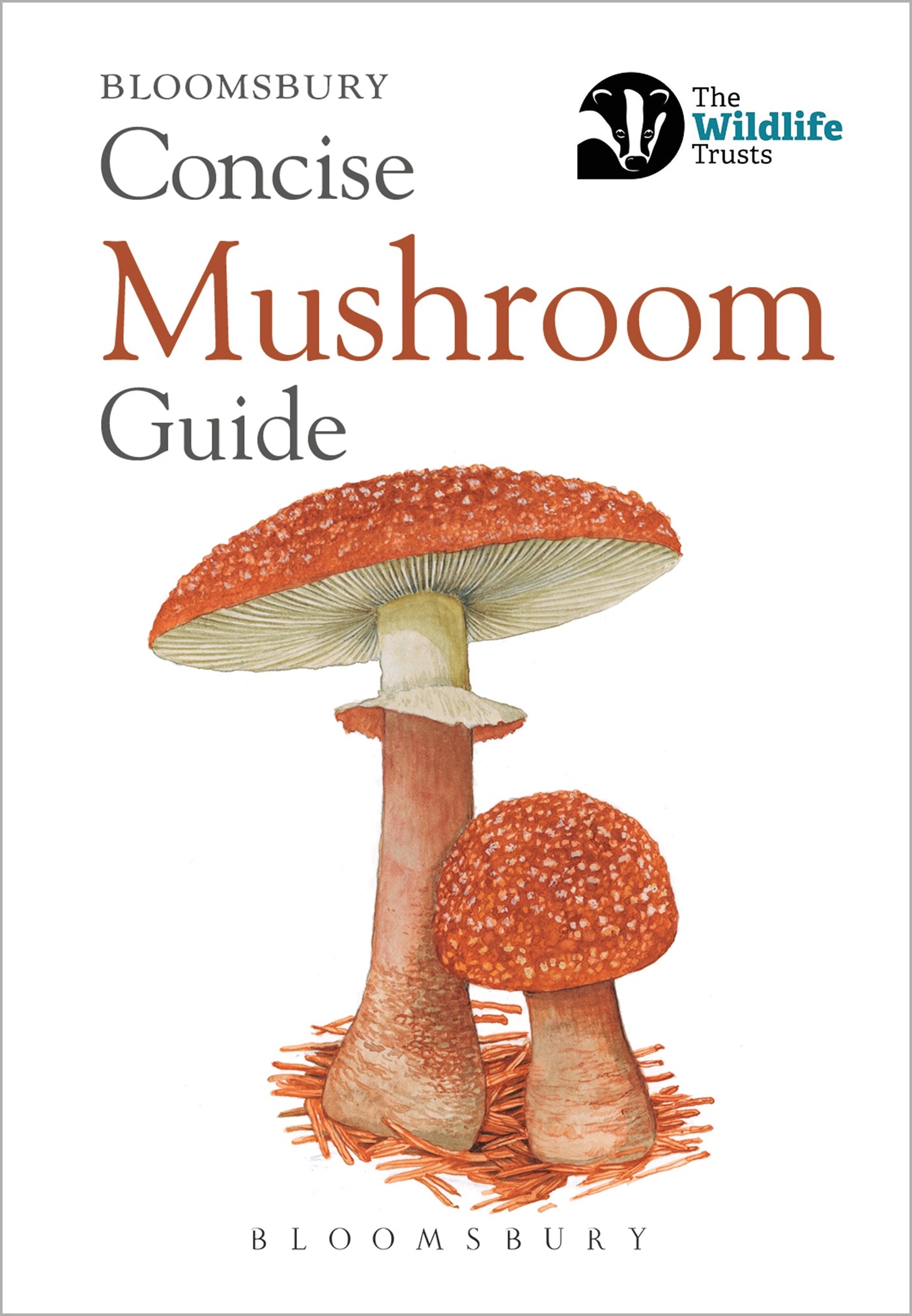 Bloomsbury concise guide - mushroom