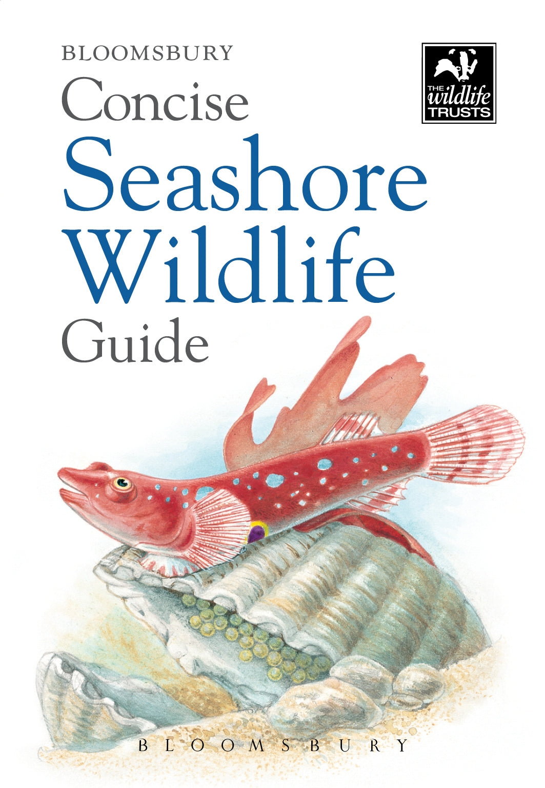 Bloomsbury concise guide - seashore wildlife
