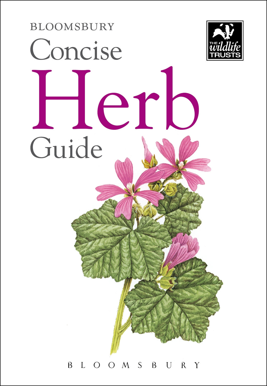 Bloomsbury concise guide - Herb