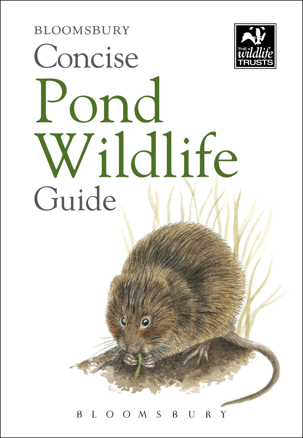Bloomsbury concise guide - pond wildlife