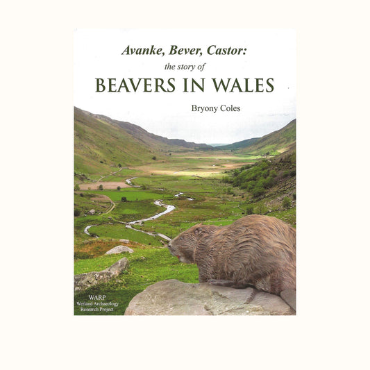 Beavers in Wales by Bryony Coles