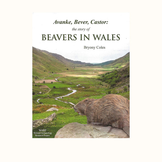 BOOK : BEAVERS IN WALES (Avanke, Bever, Castor:) by Bryony Coles