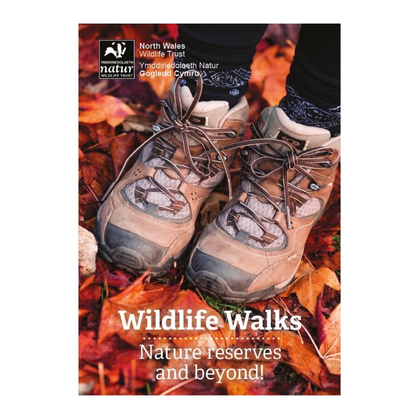 Wildlife Walks / Llwybrau Gwyllt (English or Welsh Version)