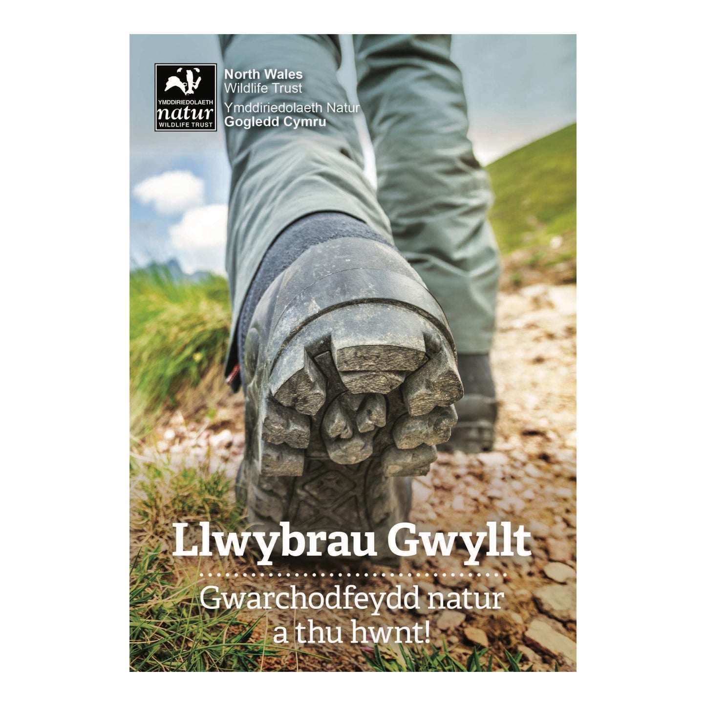 Wildlife Walks / Llwybrau Gwyllt (English or Welsh Version)