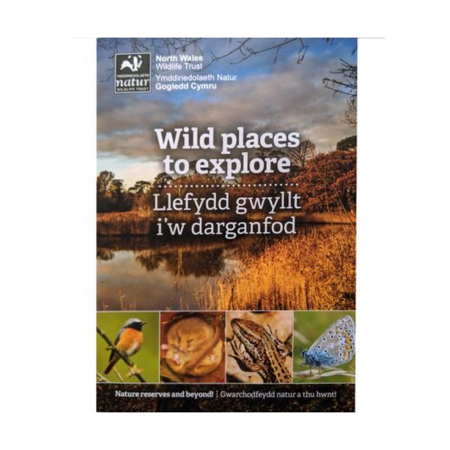 Wild Places to Explore - Choice of English or Welsh version