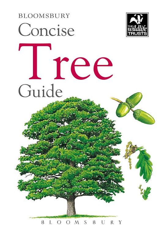 Bloomsbury concise guide - Tree