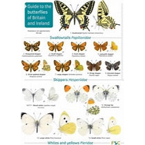 FSC Guide - Butterflies