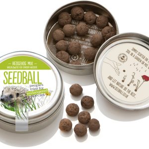 Seedball tin - Hedgehog